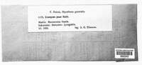 Image Associated With the Occurence
